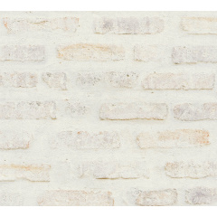 Вінілові шпалери на флізеліновій основі A.S.Creation New Walls 37422-1 Білий-Бежовий Чернігів