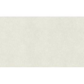 Вінілові шпалери на флізеліновій основі Rasch Raymond 957303 Білий-Сірий