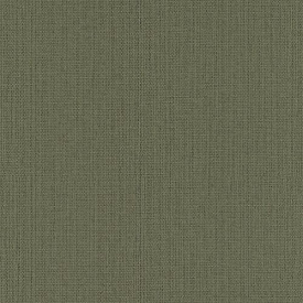 Вінілові шпалери на флізеліновій основі Rasch Kimono 407945 Зелений