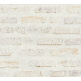Вінілові шпалери на флізеліновій основі A.S.Creation New Walls 37422-1 Білий-Бежовий