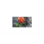 Наклейка виниловая на стол Zatarga "Оранжевые Розы" 600х1200 мм Житомир