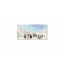 Наклейка 3Д виниловая на стол Zatarga «Культурный Париж» 600х1200 мм для домов, квартир, столов, кофейн, кафе Киев