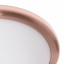 Светильник настенно-потолочный Brille 60W W-155 Медь Житомир