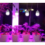 Лампа светодиодная для растений Brille Пластик 15W Белый L137-014 Ладан