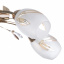 Стельова люстра в сучасному стилі Brille 40W E14 Золотистий 5 плафонів для вітальні, для спальні Полтава