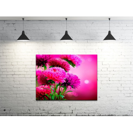 Картина на холсте ProfART S4560-c1089 60 x 45 см Цветы (hub_FGNu65385)