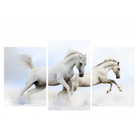 Модульная картина Декор Карпаты 100х53 см Белые лошади (M3-t25)