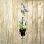 Декоративное подвесное кашпо Engard "Райская бабочка" 60 см (BF-22) Сумы