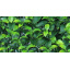 Декоративное зеленое покрытие Engard "Молодой лист" 50х50 см (GCK-05) Николаев