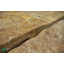 Шпон корень Клен Американский 0,6 мм - Logs Ровно
