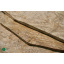 Шпон корень Ясень Оливковый 0,6 мм - Logs Королёво