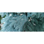Литая искусственная ёлка Happy New Year Бельгийская 250 см Голубая Івано-Франківськ