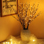 Новогодняя LED гирлянда светодиодная GaLosha Теплый цвет (3789) Ровно