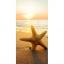 Настінний обігрівач-картина Shine Морська зірка 100 х 50 см 215 Вт Кропивницький