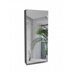Вузька дзеркальна шафка "Економ" для ванної кімнати Tobi Sho ТS-37 300х700х130 мм Київ