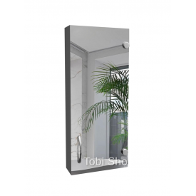 Узкий зеркальный шкафчик "Эконом" для ванной комнаты Tobi Sho ТS-37 300х700х130 мм