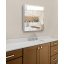 Зеркальный панорамный шкафчик в ванную комнату с подсветкой TR24-60 600х700х120 мм Белый Львов