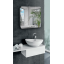 Шафа дзеркальна "Економ" з двома дверцятами для ванної кімнати Tobi Sho ТS-31 650х600х130 мм Черкаси