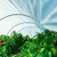 Парник для рассады из агроволокна Агро-Лидер 50 г/м² 4 м Кропивницький