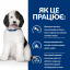 Сухий корм Hill's Prescription Diet Canine C/D Multicare Urinary Care 12 кг (605887) Київ