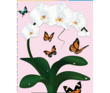 Наклейка интерьерная №29 Label a picture Орхидея