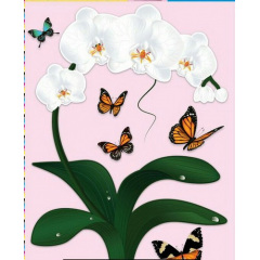 Наклейка интерьерная №29 Label a picture Орхидея Пологи