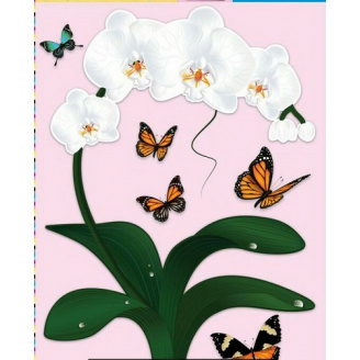 Наклейка интерьерная №29 Label a picture Орхидея