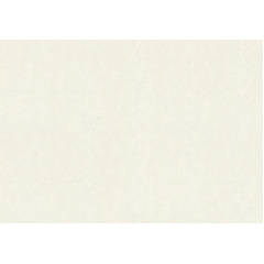 Обои Lanita виниловые на флизелиновой основе ЭШТ Аделия 7-0991 бело-жемчужный (1,06х10,05м.) Обухів