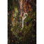 Ножницы универсальные садовые Fiskars ReNew 21 см (1062544) Херсон