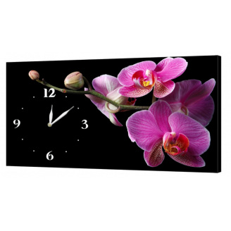 Настінний годинник ProfART на полотні 30 x 53 см Орхідеї (02_S)