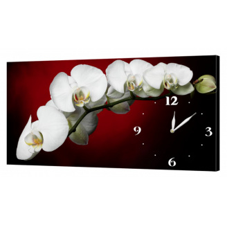 Настінний годинник ProfART на полотні 30 x 53 см Біла орхідея (C22_S)