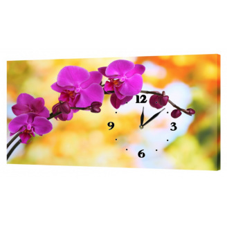 Настінний годинник ProfART на полотні 30 x 53 см Ніжні квіти (c32_S)