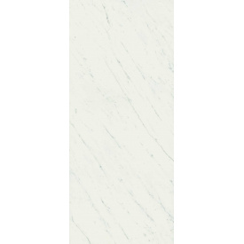 Керамогранитная плитка Ragno Maiora Marble Effect Bianco Extra Glossy Ret 120х240 см (ЦБ000008854)