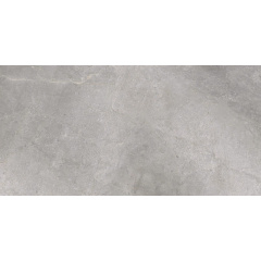 Керамогранитная плитка напольная матовая Cerrad Masterstone Silver Rect. 59,7х119,7 см (5903313315494) Львов