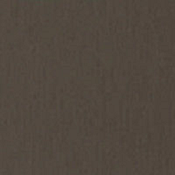 Фальцевий лист Vmzinc Pigmento 0,7х670 мм brown