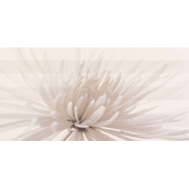 Декор OPOCZNO AVANGARDE WHITE INSERTO FLOWER 29,7*60 (7шт/пач)
