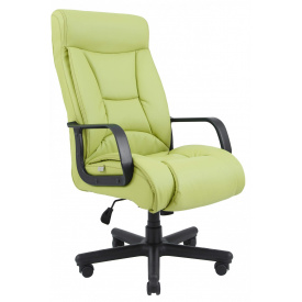 Офисное Кресло Руководителя Richman Магистр Флай 2234 Пластик М1 Tilt Зеленое