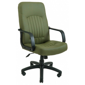 Офисное кресло руководителя Richman Фиджи Флай 2235 Пластик М2 AnyFix Зеленое