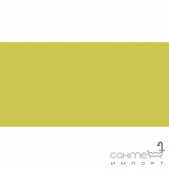 Плитка настінна 20x40 RAKO Color One Yellow-Green Глянець RAL 0958070 WAAMB454 Тернопіль