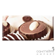 Плитка ABSOLUT KERAMIKA DECOR CHOCOLAT CAKE 02 декор Черкаси
