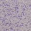 Рідкі шпалери YURSKI Юка 1205 Фіолетові (Ю1205) Рівне