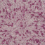 Рідкі шпалери YURSKI Юка 1211 Пурпурні (Ю1211) Вишневе