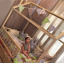 Ліжко-будиночок дитячий підлоговий з масиву дерева з бортиками Мажорчик 160х80 см Луцьк