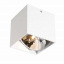 Точечный светильник Zuma Line BOX SL1 89947-G9 Покровск