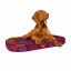 Лежанка для собак со сменным чехлом WAUDOG Relax Гранат L 100х70 см Разноцветный Кропивницький