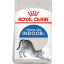 Сухой корм для домашних кошек Royal Canin Indoor 10 кг (11416) (0262558706944) Львів