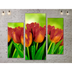 Модульная картина ArtStar цветы Тюльпаны ADFL0125 размер 120 х 180 см Киев