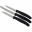 Набор кухонных овощных ножей Victorinox Swiss Classic Paring Set 3 шт Черный (6.7113.3G) Киев