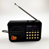 Портативное аккумкляторное Knstar FM- радио coldyir cy-011 С разъемом для USB и карты памяти черное