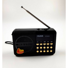 Портативное аккумкляторное Knstar FM- радио coldyir cy-011 С разъемом для USB и карты памяти черное Київ